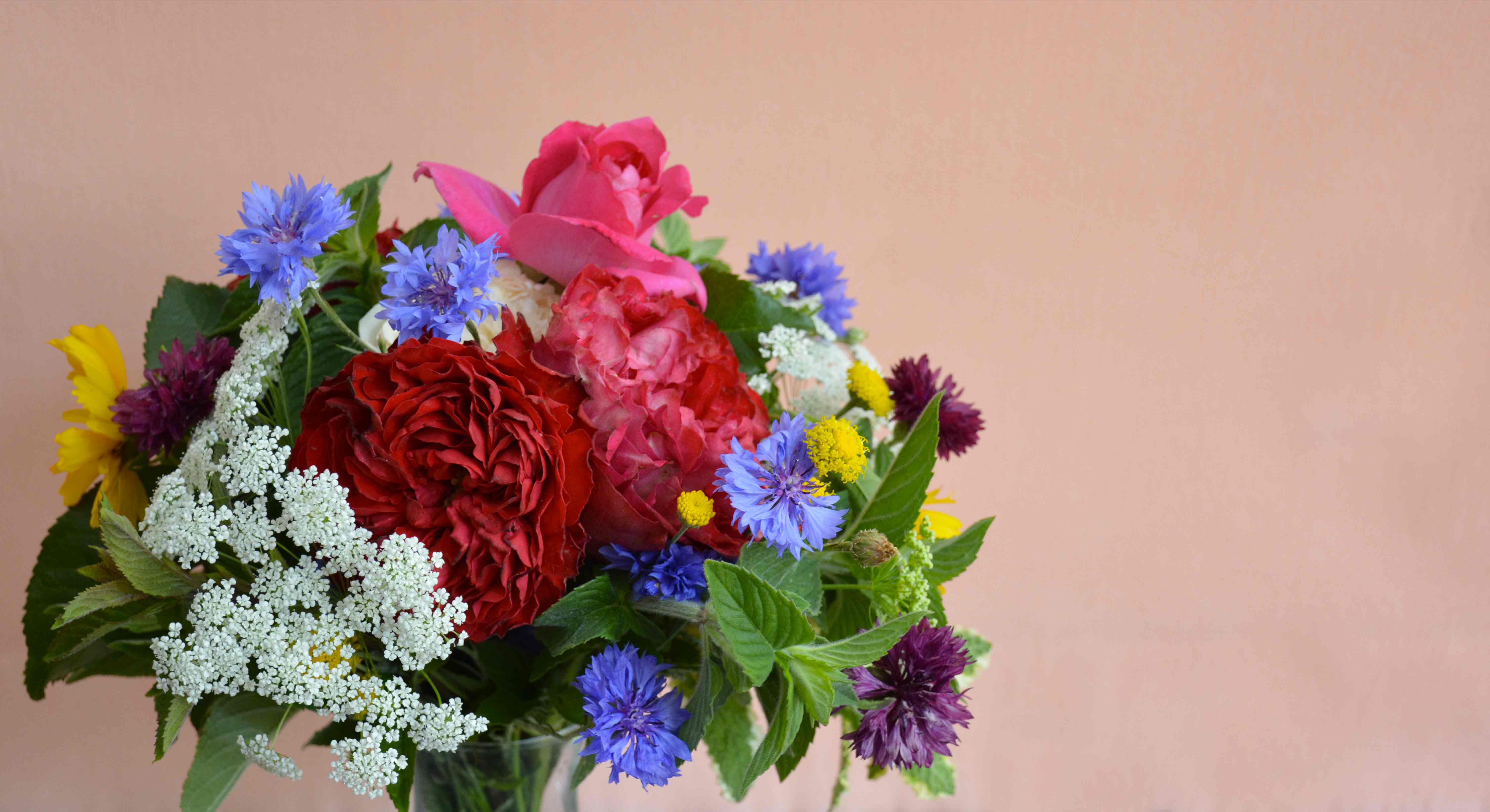 Fleurivore Les Bouquets De Fleurs Qui Se Dévorent